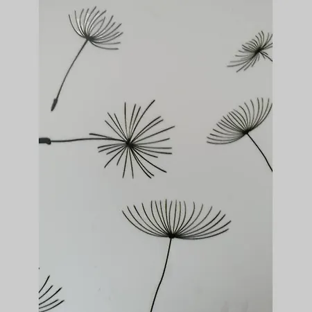 Pusteblume Mueddersheim