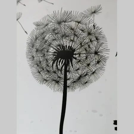 Pusteblume Mueddersheim