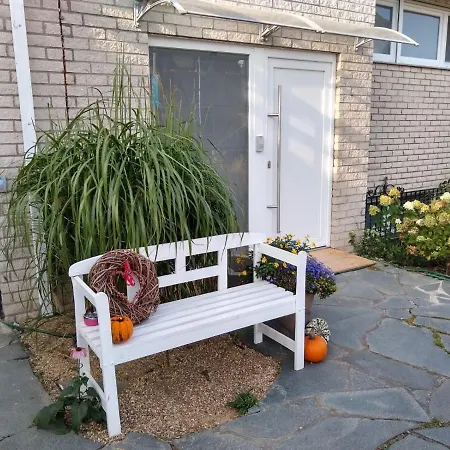 Pusteblume Mueddersheim