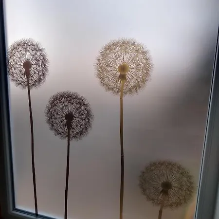 アパート Pusteblume Mueddersheim