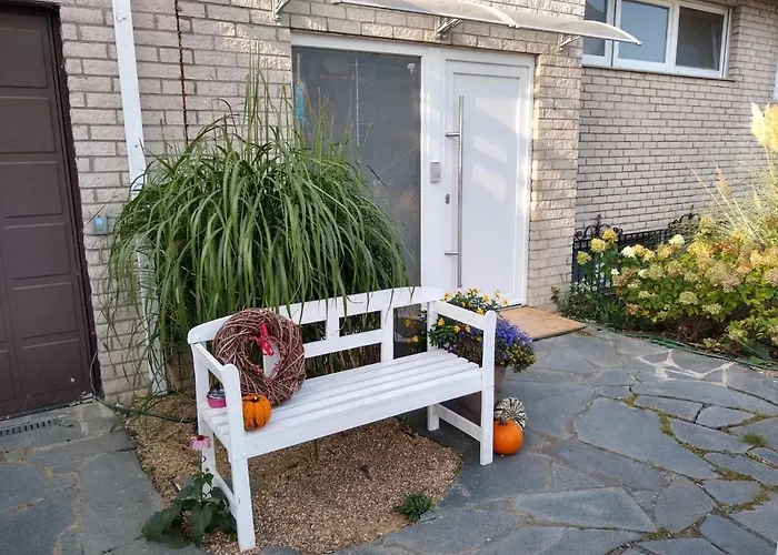 Pusteblume Mueddersheim